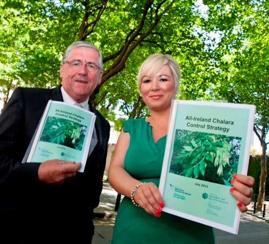 Strategy to control Ash Tree Chalara Dieback