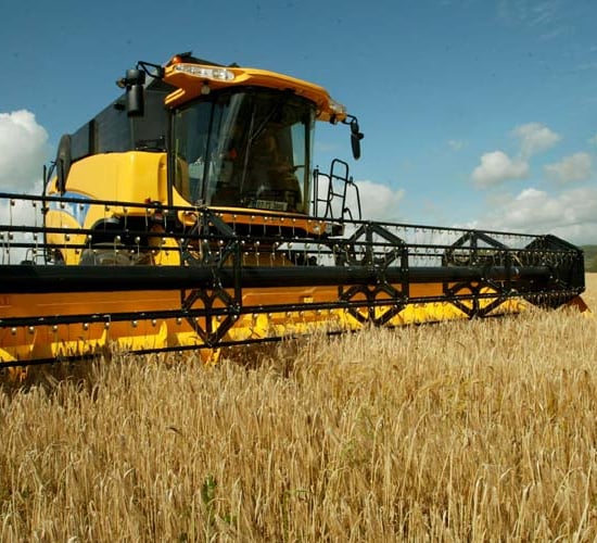 Early harvest yields show moisture levels 15-20%
