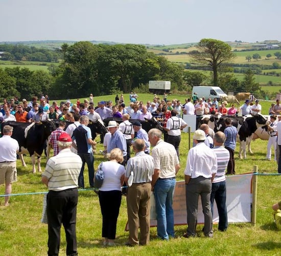 Top awards at IHFA Open Day
