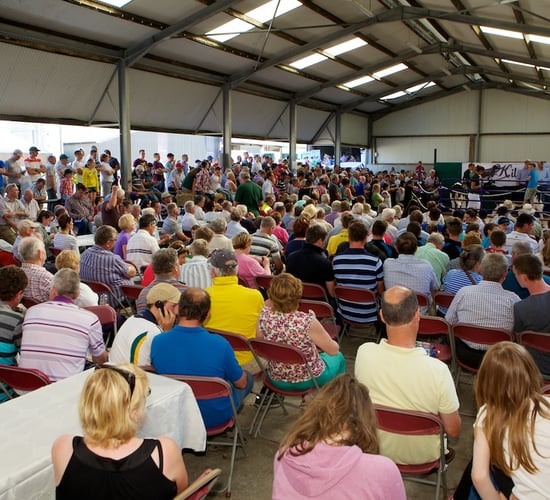 Journal : IHFA open day in Cork