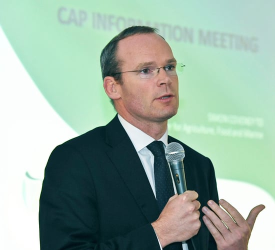 Fine Gael commits to rural growth, party think-in hears