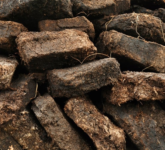 40% reduction in turf cutting on raised bogs in 2023 - department