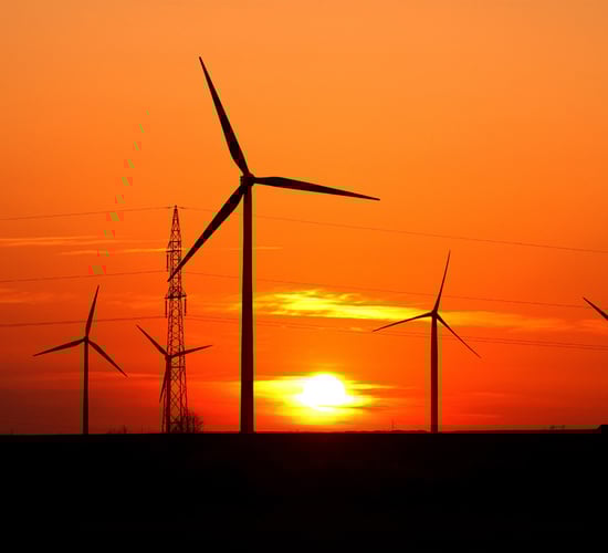 Derrybrien wind farm case shows 'abject failure' by Government