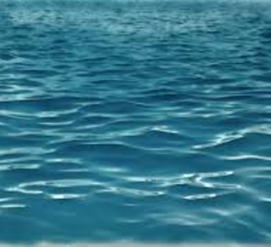 European eel stock at all-time low