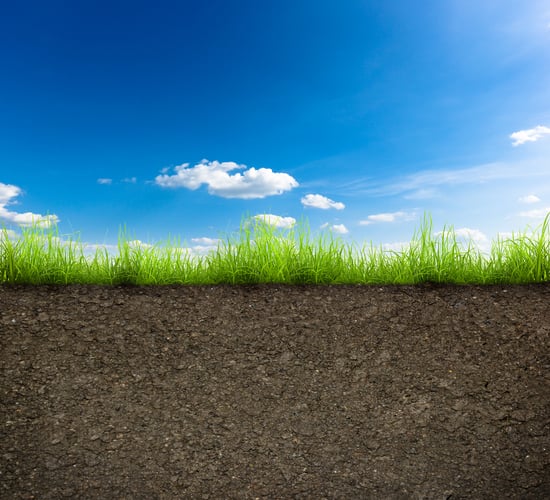 Soil testing shows value