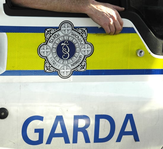 Gardaí investigating after dead fox hung on overhead line