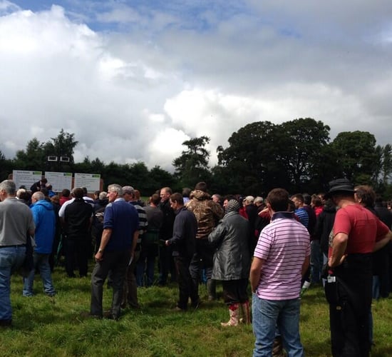 700 beef farmers at Teagasc Better Farm Open Day