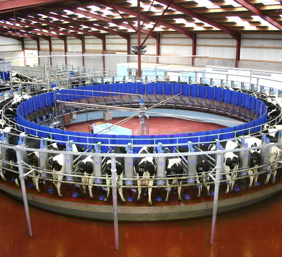Dairy farmers warned of possible New Zealand/EU trade deal