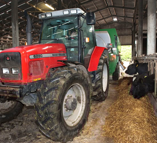 Dairy advice: Easing the Christmas day workload