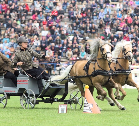 20,000 a day attend Dublin Horse Show