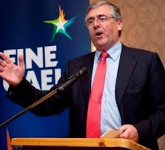 Minister of State calls for loyalty over Hogan's commission bid