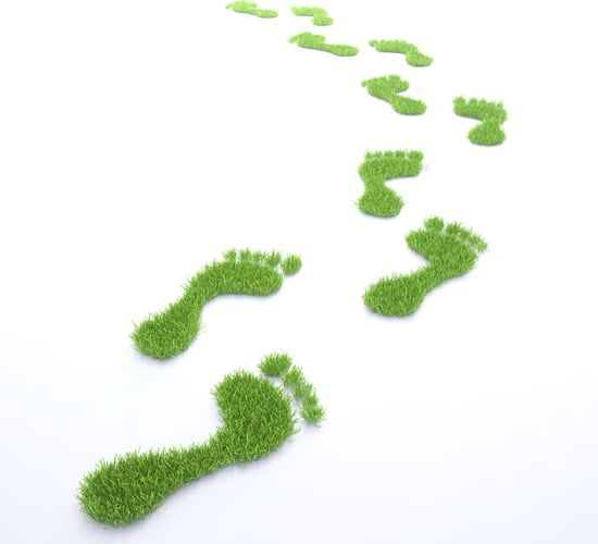 Summer of organic farm walks continues