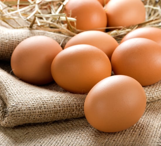 Eurostat: Slower increase in egg prices over the past year