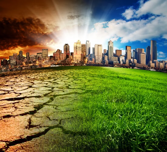 Queen's in £5m UK project to help agrifood reach net zero