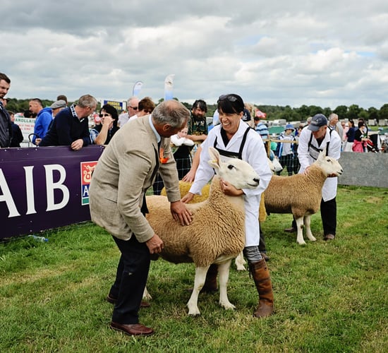 Events: Agri shows and fun days taking place this weekend