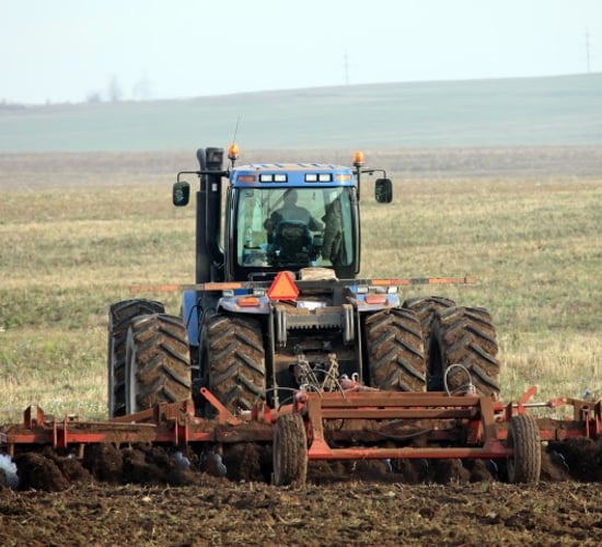 EU cereal plantings up, but prices remain at 'rock bottom'