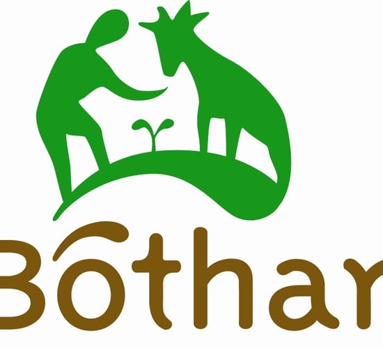 Cost of alleged fraud at scandal-hit Bóthar reaches €1.2m