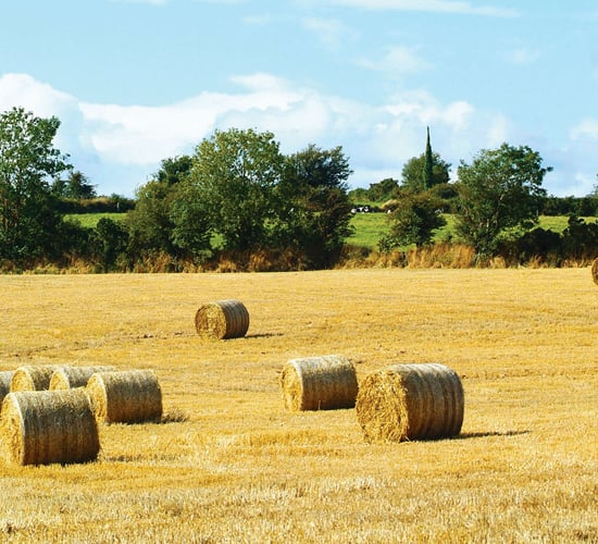 Haulage of fodder to be exempt in new height limits