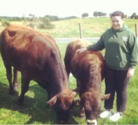 This week's Farmer of the Tweet: Derrybrack Aubracs