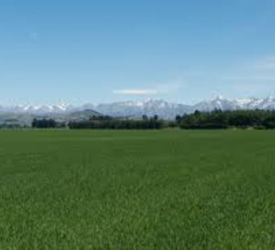 Reduced milk production in New Zealand may help support global price