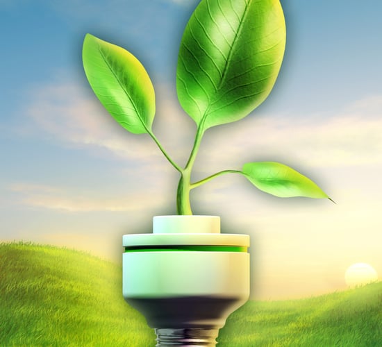 Innovation drive key to growing rural entrepreneurs, UCD