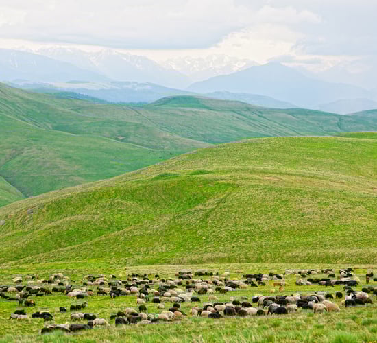 Farm management tips for September