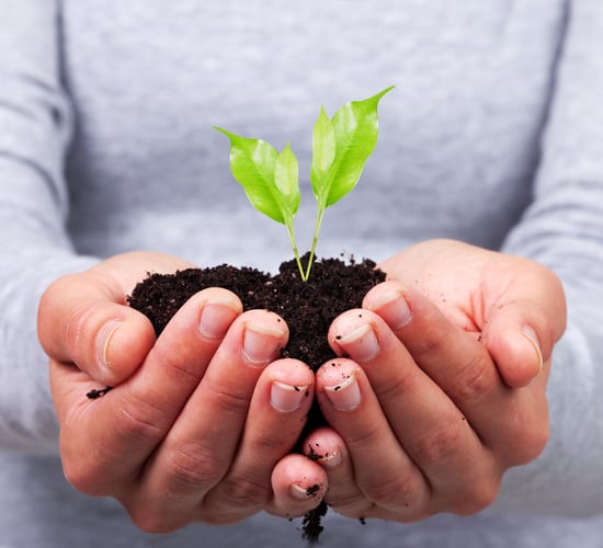 Seed companies commit to global food sustainability