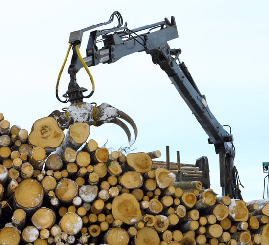 Forestry crisis 'costing farmers almost €1m' per month