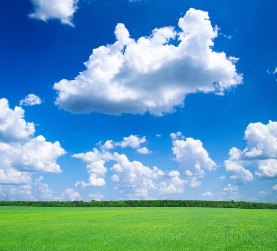 Department and Oireachtas committee to meet on climate
