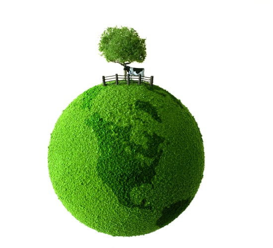 UN targets 30 per cent reduction in global livestock emissions