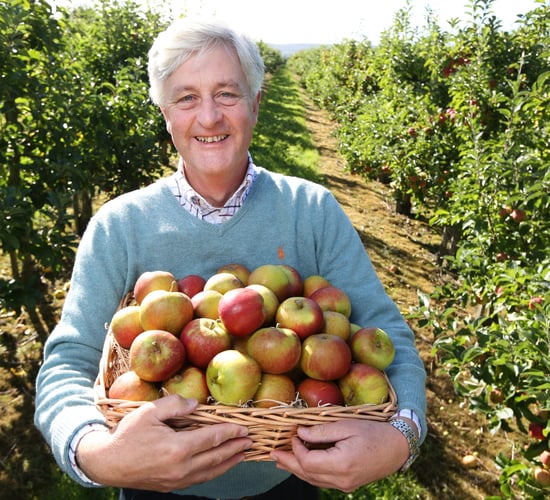 How do you like them apples?