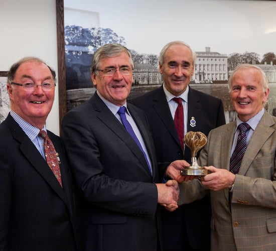 Celebrating Ireland's national forests