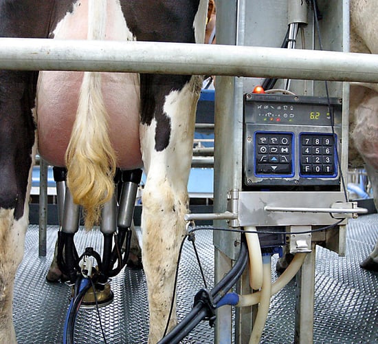 Here's the final Irish milk production figures for the first year post quota