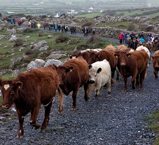 The rocky road through Burren