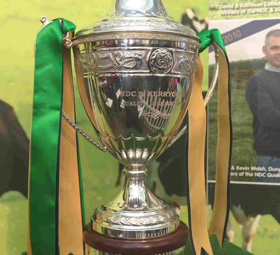 Limerick scoops dairy top prize