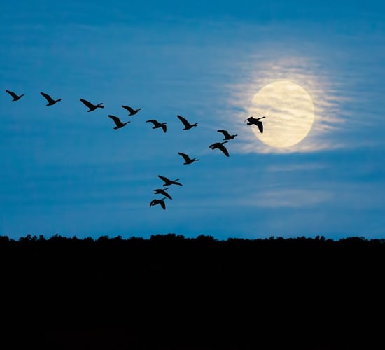 Unsettled weather set to continue