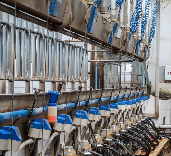 Cross-border dairy council dispute