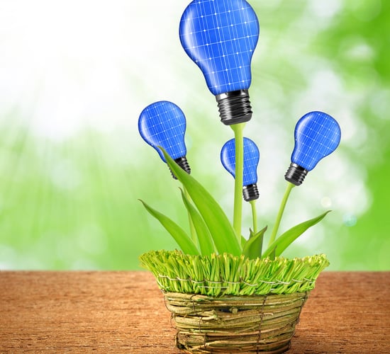 What will the farm of the future look like?