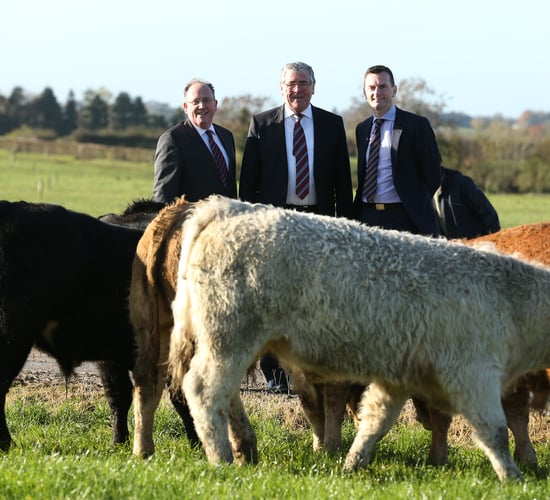 First Irish retailer-farmer development programme launched