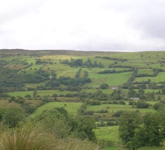 Revised criteria for eligible hectare in new CAP welcomed