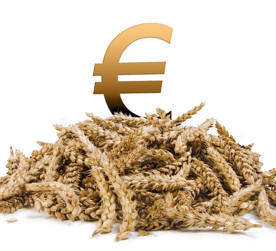 Farmers are 'financially worse off' this year - farm org