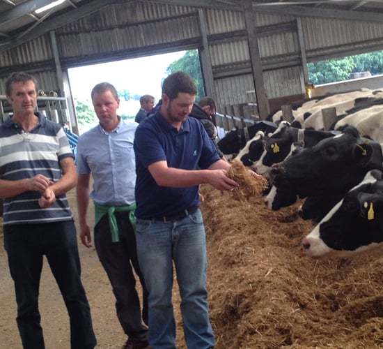 Scotland has the dairy 'wow' factor