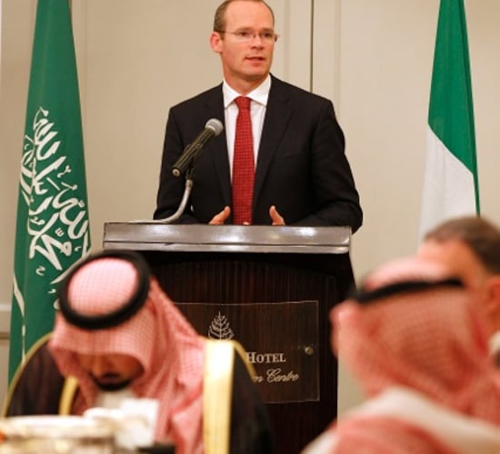 ICMSA will seek Coveney’s intervention in TLT affair