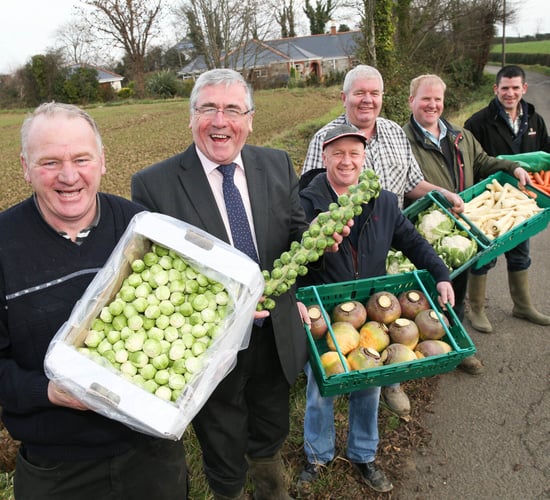 Vegetable growers hopeful prices hold for Christmas