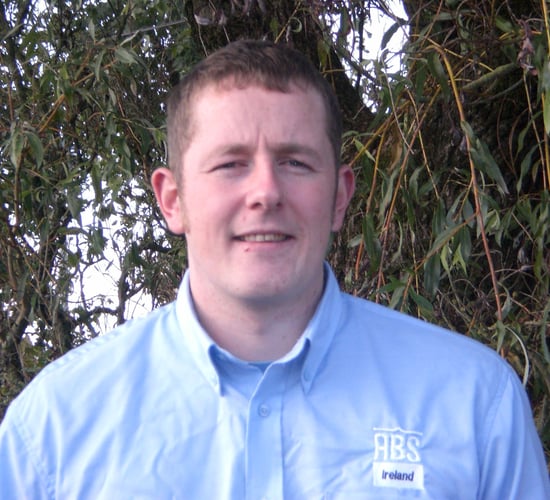 Kiwi dairy farmers now choosing Irish bulls