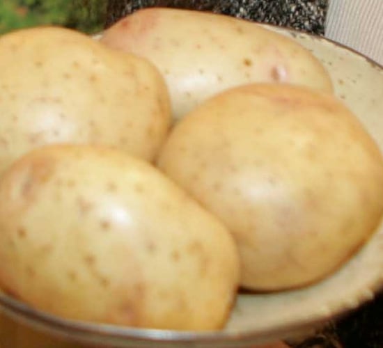 Retailers urged to support potato sector and avoid food waste