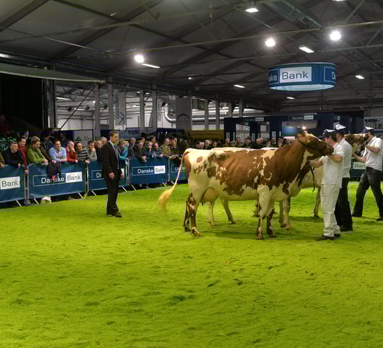 Former World Expo Dairyman of the Year to judge this year's Winter Fair