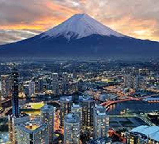 Ireland's shoguns on a Japanese mission