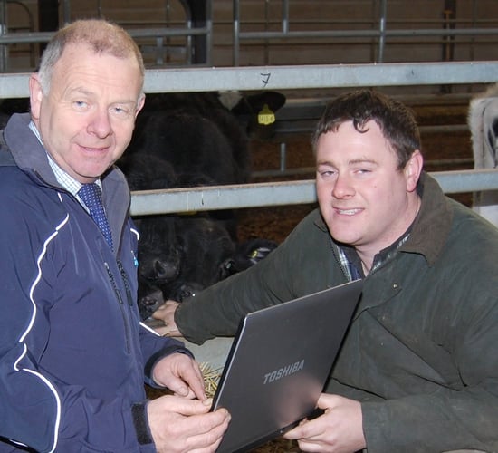 Linden Livestock website now fully interactive