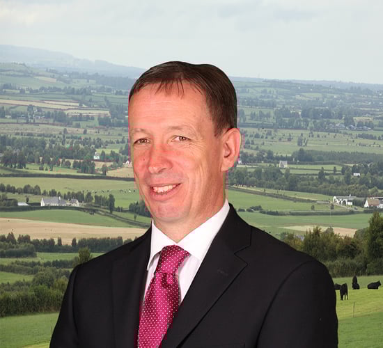 IFA appoints new Chairman - Laoisman to hold the reins until election